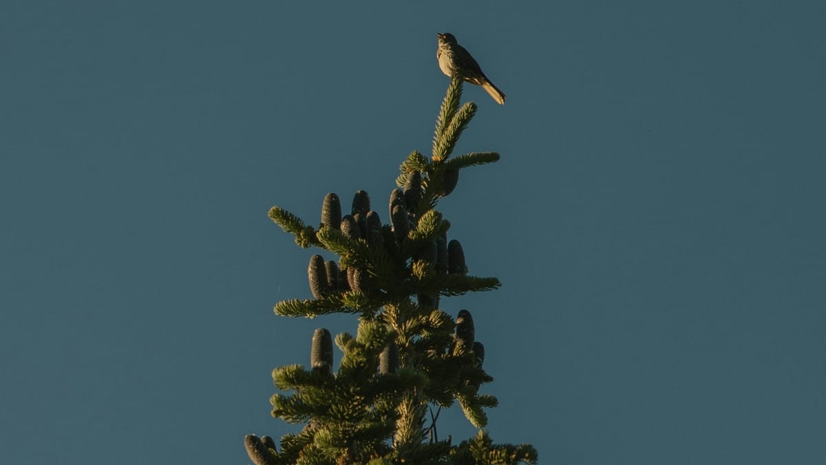 Tavoitteiden saavuttaminen ja onnistuminen – näin rakennat polun kohti pysyvää muutosta