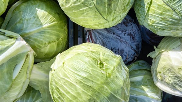 Kaalit lautaselle – näin monipuoliset terveyshyödyt eri kaalilajeista tukevat solakoitumista ja hyvinvointia