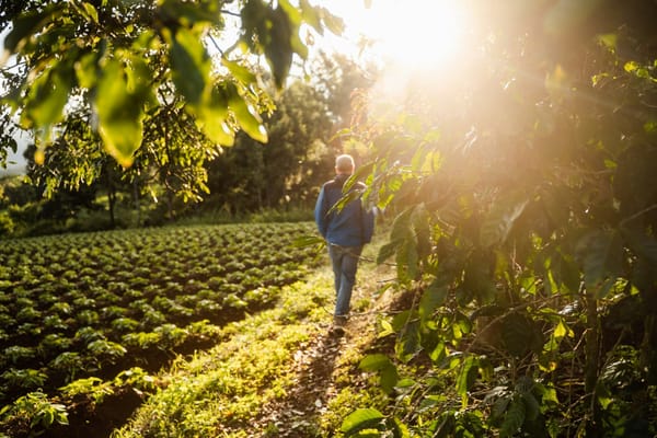 Painonhallinta ei ole aina lineaarista – miksi vaaka näytti plussaa 1.9.2025?